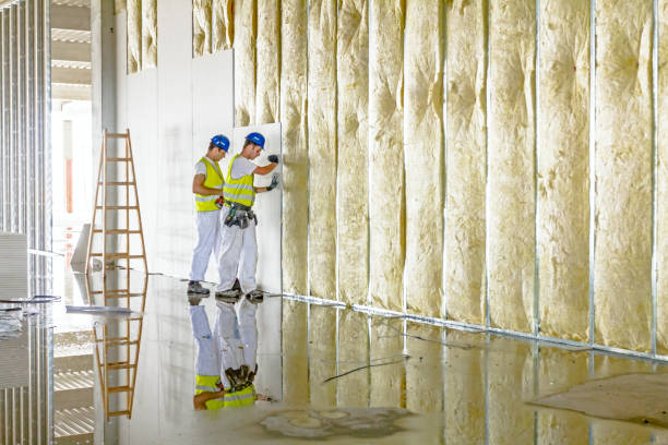 Best Insulation Maintenance and Repair in Garden Acres, CA
